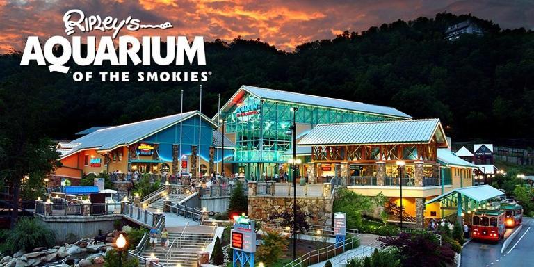Modern Style, Arcade, Fire Pit, Pet Friendly Βίλα Pigeon Forge Εξωτερικό φωτογραφία
