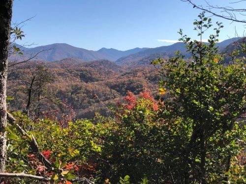 Modern Style, Arcade, Fire Pit, Pet Friendly Βίλα Pigeon Forge Εξωτερικό φωτογραφία